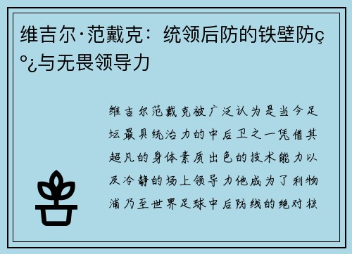 维吉尔·范戴克：统领后防的铁壁防线与无畏领导力