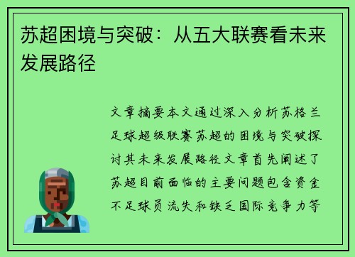 苏超困境与突破：从五大联赛看未来发展路径